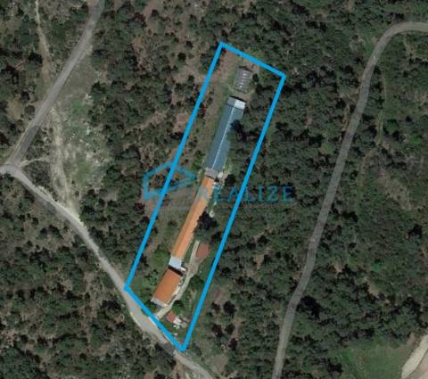 Terreno com exploração de cunicultura