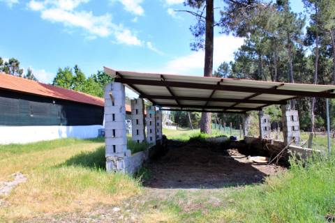 Terreno com exploração de cunicultura