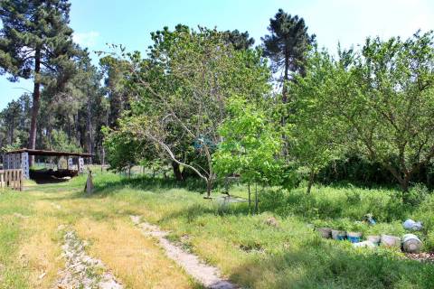 Terreno com exploração de cunicultura