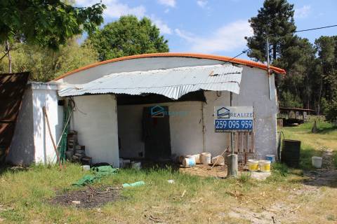 Terreno com exploração de cunicultura