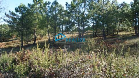 Terreno para construção