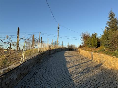 Moradia Isolada T9 Venda em Mirandela,Mirandela