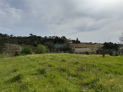 Terreno  Venda em São Martinho de Antas e Paradela de Guiães,Sabrosa