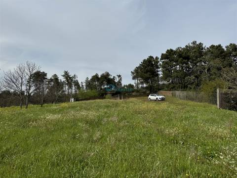 Terreno  Venda em São Martinho de Antas e Paradela de Guiães,Sabrosa