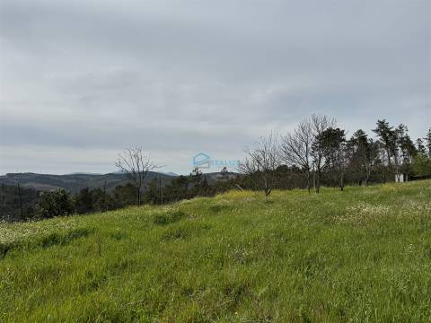 Terreno  Venda em São Martinho de Antas e Paradela de Guiães,Sabrosa
