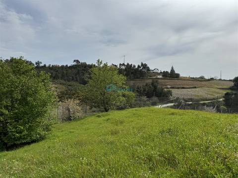Terreno  Venda em São Martinho de Antas e Paradela de Guiães,Sabrosa
