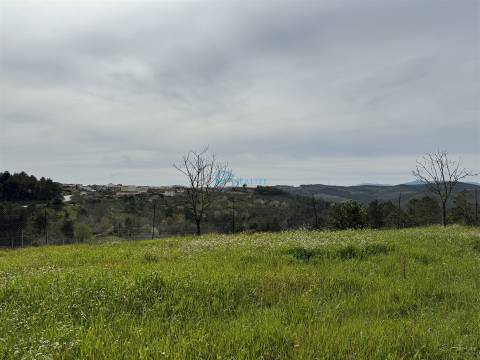 Terreno  Venda em São Martinho de Antas e Paradela de Guiães,Sabrosa