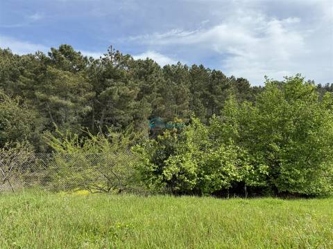 Terreno  Venda em São Martinho de Antas e Paradela de Guiães,Sabrosa