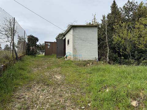 Terreno  Venda em São Martinho de Antas e Paradela de Guiães,Sabrosa