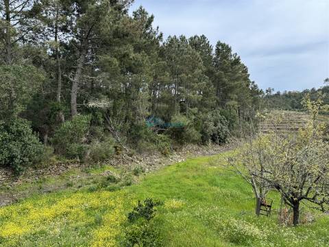 Terreno  Venda em São Martinho de Antas e Paradela de Guiães,Sabrosa