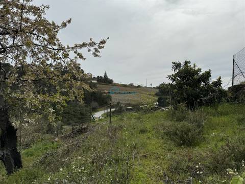 Terreno  Venda em São Martinho de Antas e Paradela de Guiães,Sabrosa
