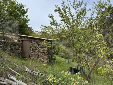 Terreno  Venda em São Martinho de Antas e Paradela de Guiães,Sabrosa