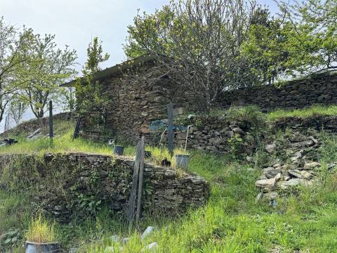 Terreno  Venda em São Martinho de Antas e Paradela de Guiães,Sabrosa