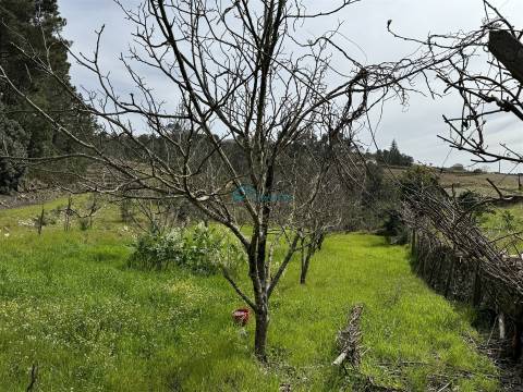 Terreno  Venda em São Martinho de Antas e Paradela de Guiães,Sabrosa