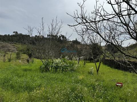 Terreno  Venda em São Martinho de Antas e Paradela de Guiães,Sabrosa