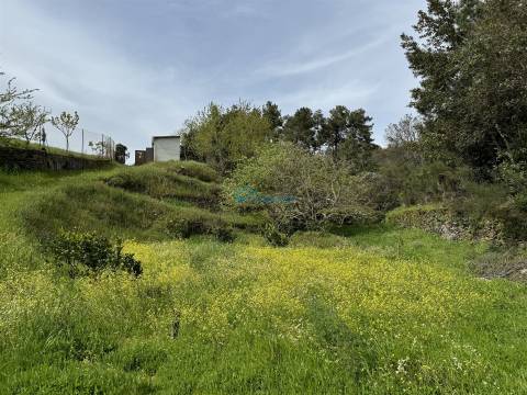 Terreno  Venda em São Martinho de Antas e Paradela de Guiães,Sabrosa