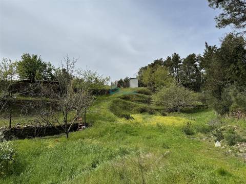 Terreno  Venda em São Martinho de Antas e Paradela de Guiães,Sabrosa