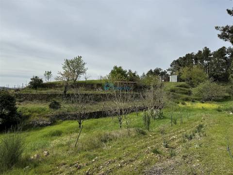 Terreno  Venda em São Martinho de Antas e Paradela de Guiães,Sabrosa