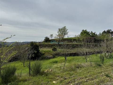 Terreno  Venda em São Martinho de Antas e Paradela de Guiães,Sabrosa