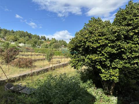 Mansão histórica no coração de Sabrosa.