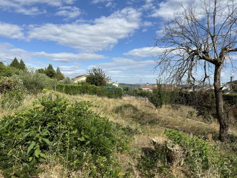 Mansão histórica no coração de Sabrosa.