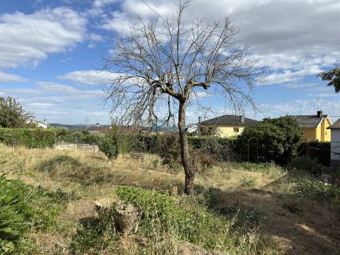 Mansão histórica no coração de Sabrosa.