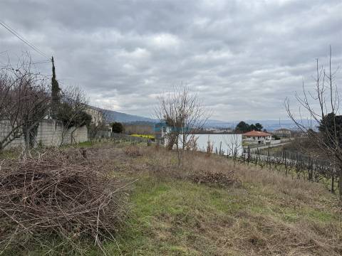 Terreno Rústico  Venda em Vila Marim,Vila Real