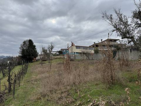 Terreno Rústico  Venda em Vila Marim,Vila Real