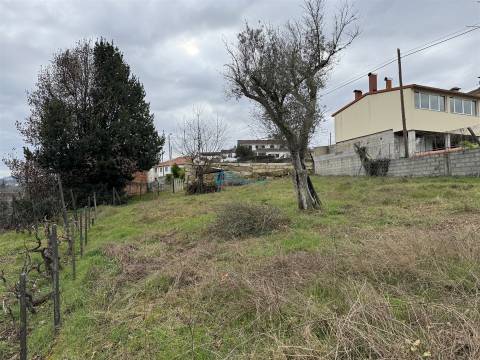 Terreno Rústico  Venda em Vila Marim,Vila Real