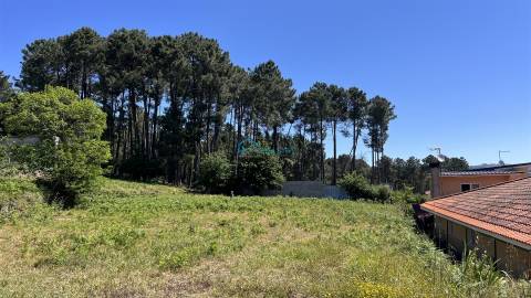 Terreno para Venda em Borbela – Vila Real