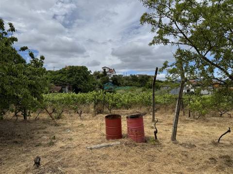 Moradia T5 Venda em Arroios,Vila Real