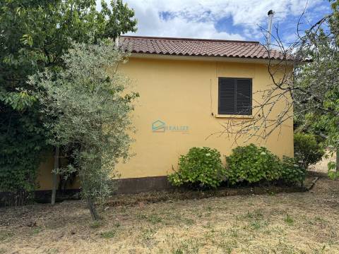 Moradia T5 Venda em Arroios,Vila Real