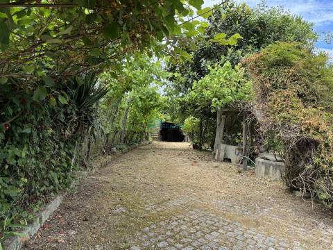 Moradia T5 Venda em Arroios,Vila Real