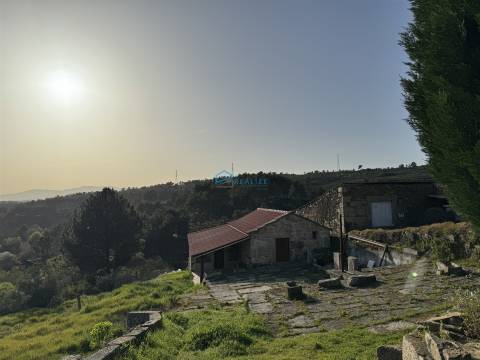 Moradia T2 térrea com logradouro e terreno.