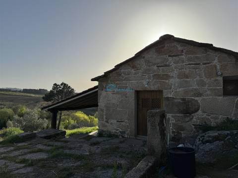 Moradia T2 térrea com logradouro e terreno.