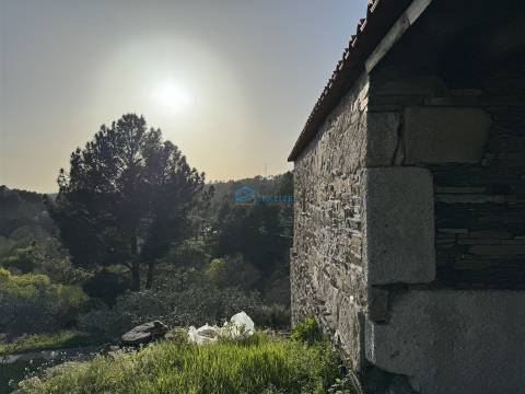 Moradia T2 térrea com logradouro e terreno.