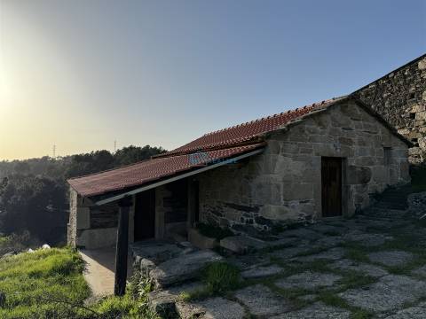 Moradia T2 térrea com logradouro e terreno.