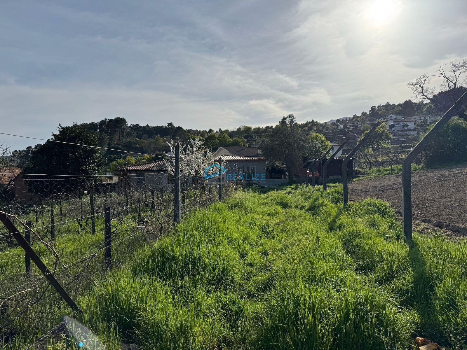 Terreno Para Construção  Venda em Vila Marim,Vila Real
