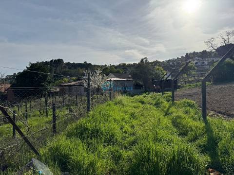Terreno Para Construção  Venda em Vila Marim,Vila Real