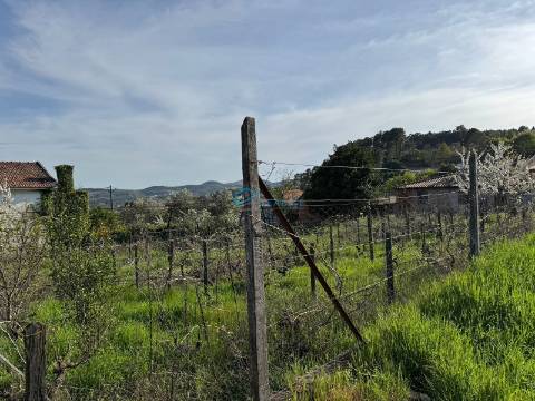 Terreno Para Construção  Venda em Vila Marim,Vila Real