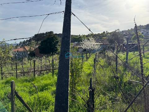 Terreno Para Construção  Venda em Vila Marim,Vila Real
