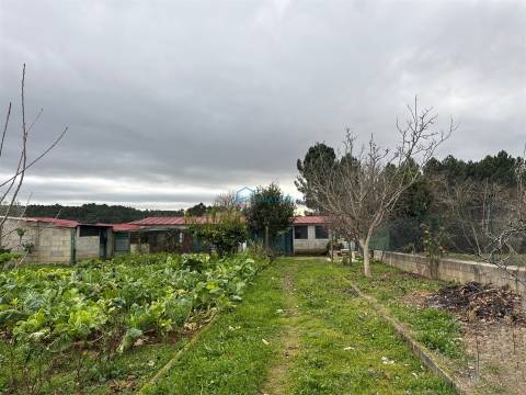 Moradia Térrea com Terreno em São Martinho de Antas
