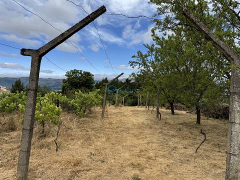 Moradia em Vila Real