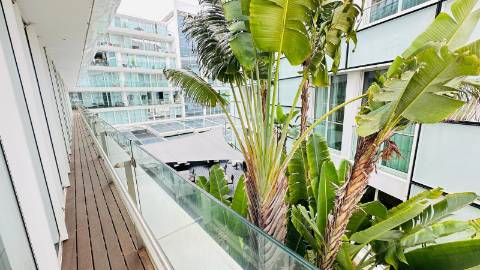 Funchal Centrum - La Vie