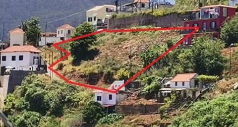 Terreno Rústico  Venda em Estreito de Câmara de Lobos,Câmara de Lobos