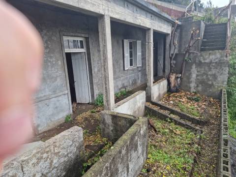 Terreno  Venda em Câmara de Lobos,Câmara de Lobos