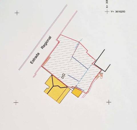 Terreno Rústico  Venda em Campanário,Ribeira Brava