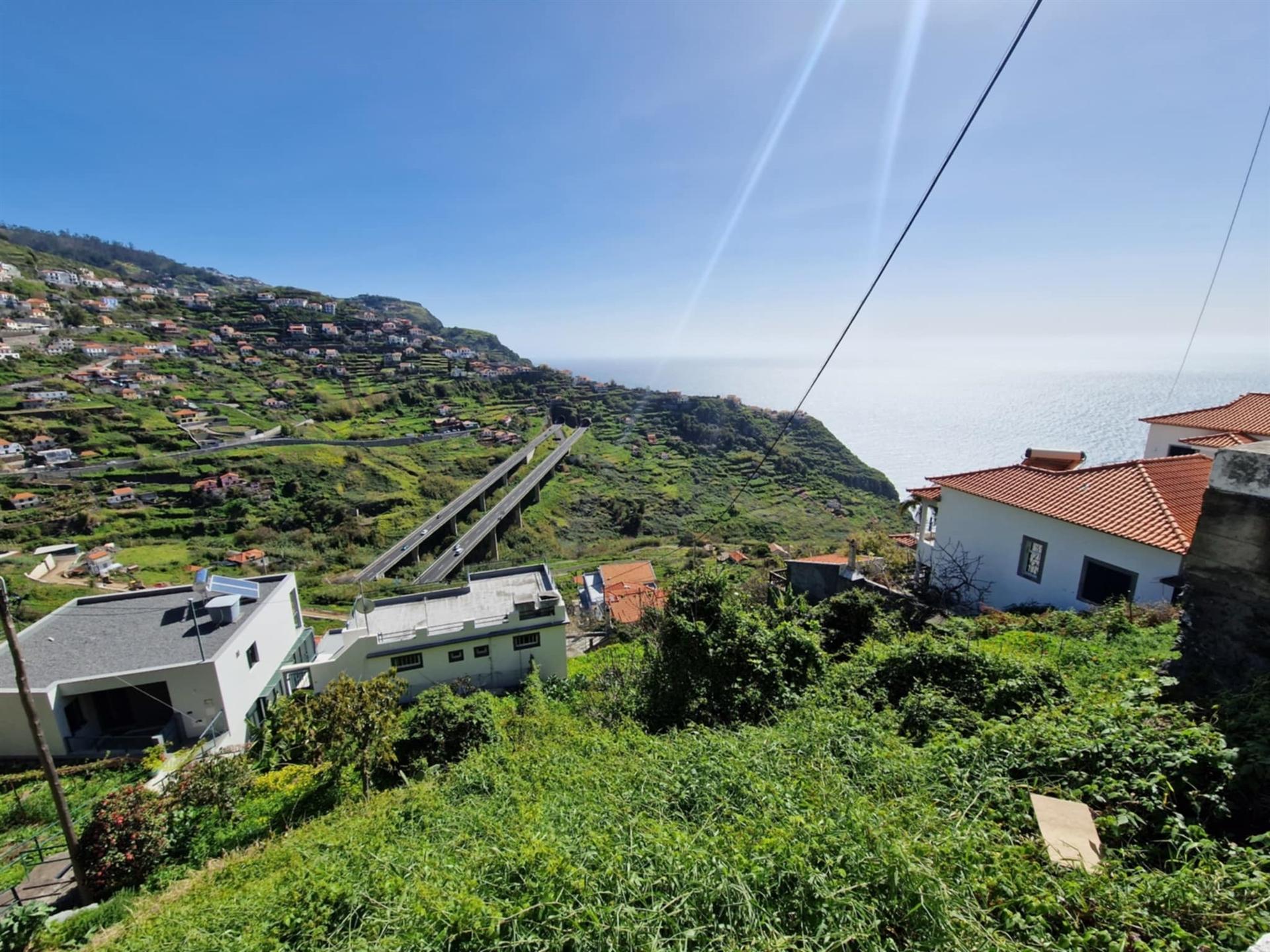 Terreno Rústico  Venda em Campanário,Ribeira Brava