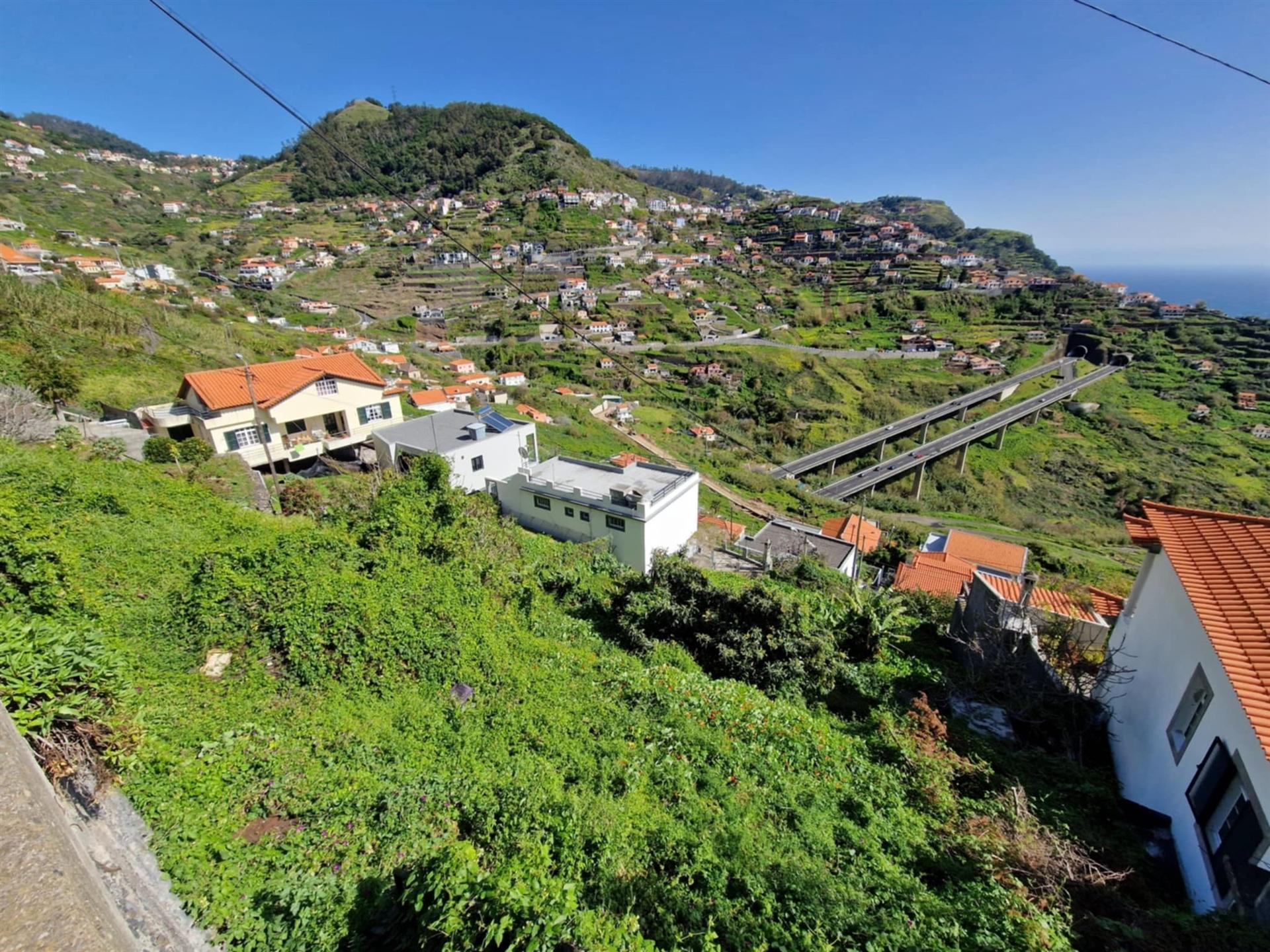 Terreno Rústico  Venda em Campanário,Ribeira Brava