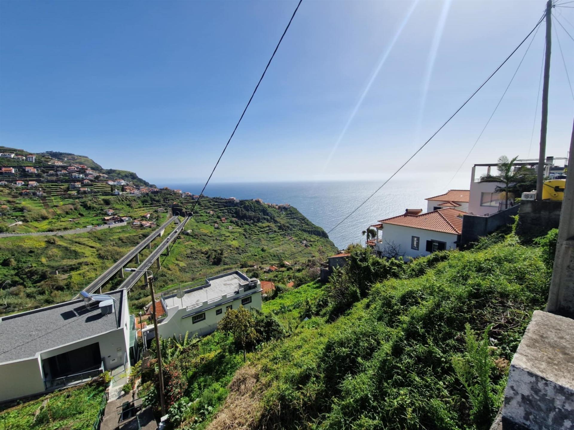 Terreno Rústico  Venda em Campanário,Ribeira Brava